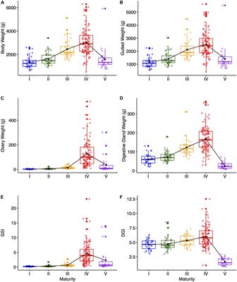 Biochemical Composition and Energy Strategy Along the Reproductive Cycle of Female Octopus vulgaris in Galician Waters (NW Spain)